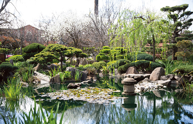 Adelaide Himeji Garden