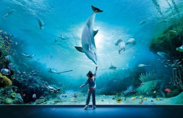 Aquarium of Genoa in Italy