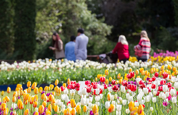 Araluen Botanic Park in Australia