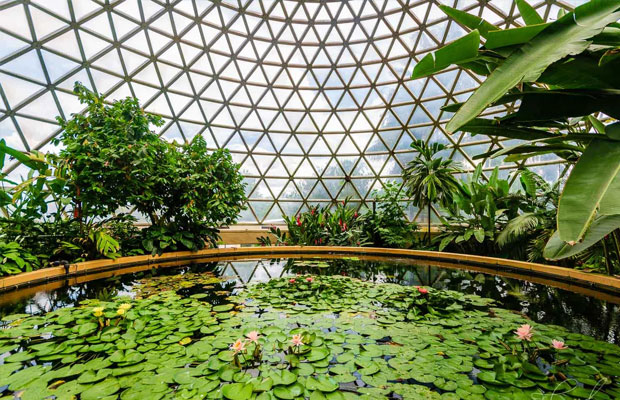 Brisbane Botanic Gardens in Australia