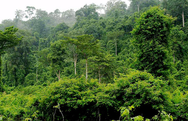 Cardamom Mountains, Pursat in Cambodia