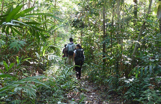 Cardamom Mountains and trekking in Cambodia