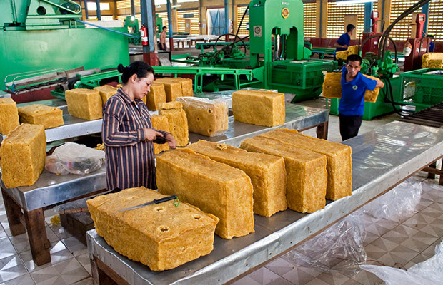Chup Rubber Plantation Factory in Cambodia