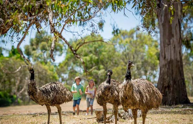 Cleland Conservation Park