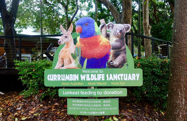 Currumbin Wildlife Sanctuary in Australia