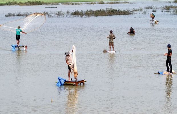 Fish Growing Center in Cambodia
