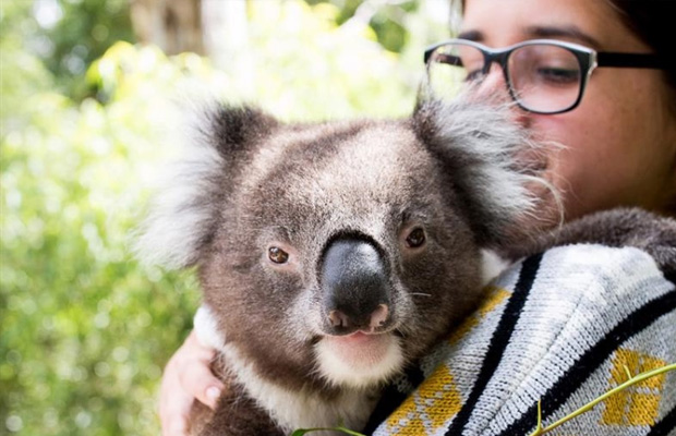 Gorge Wildlife Park