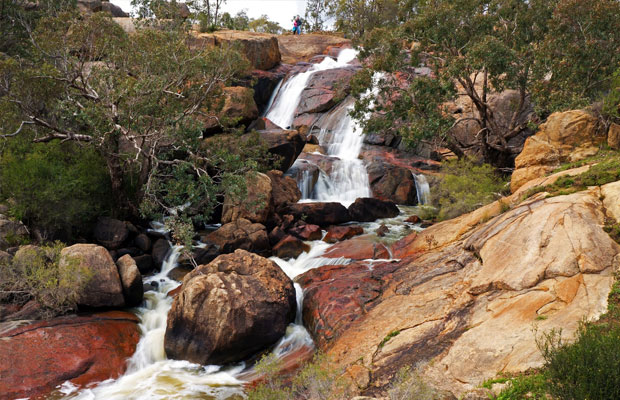 John Forrest National Park in Australia