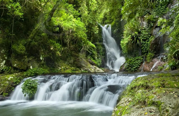 Lamington National Park in Australia