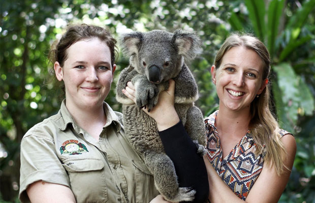 Lone Pine Koala Sanctuary in Australia