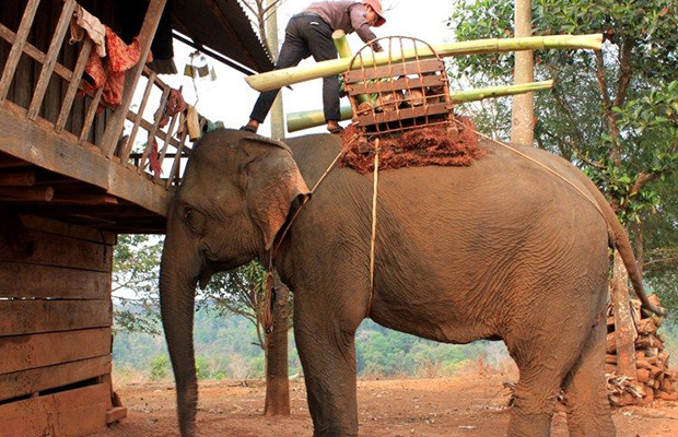 Lumphat Wildlife Sanctuary in Cambodia