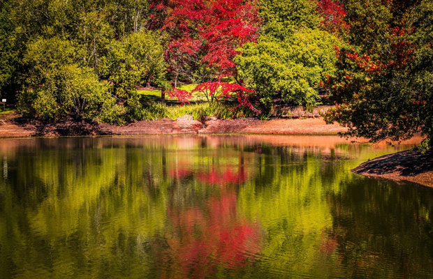 Mount Lofty Botanic Garden