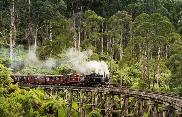 Puffing Billy Railway in Australia