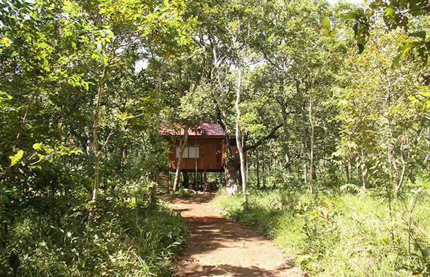 Roniem Forest, Krong Pursat in Cambodia