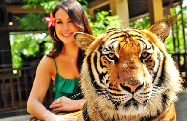 Tiger Kingdom - Phuket