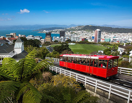 Wellington travel