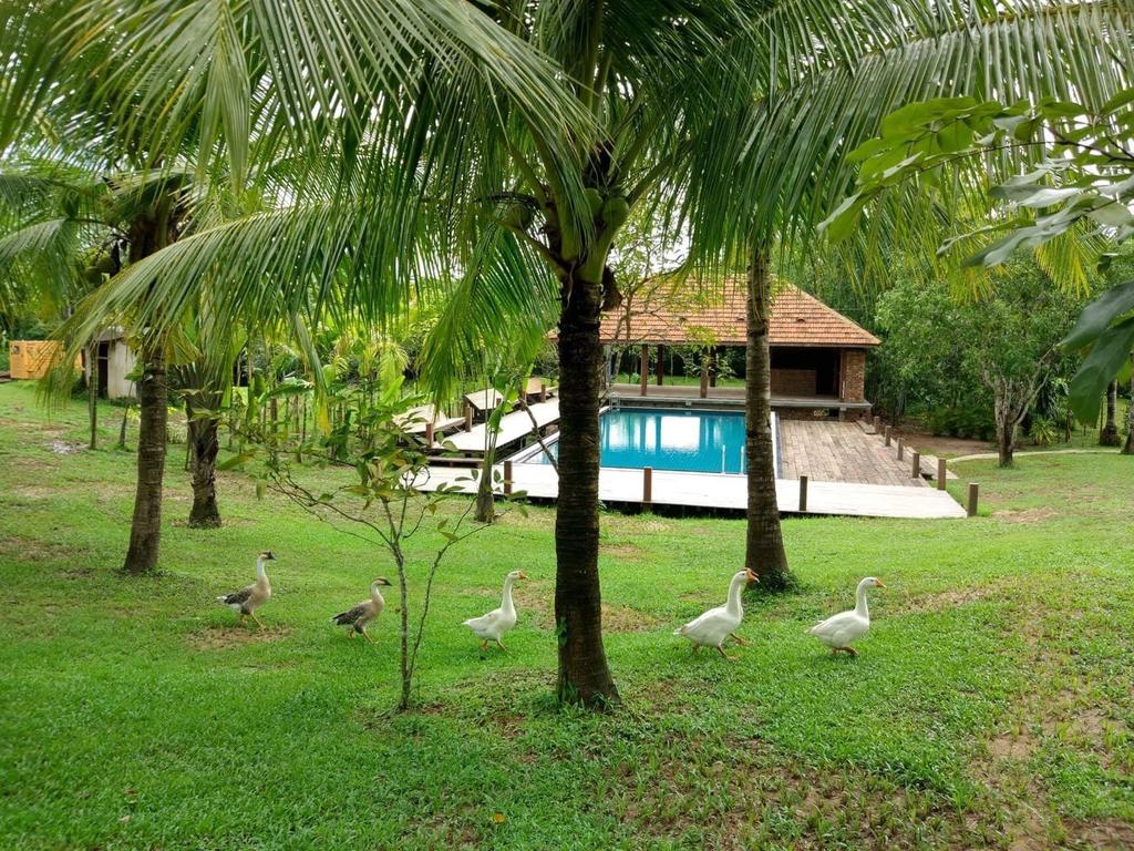 Bulaeinn Villas