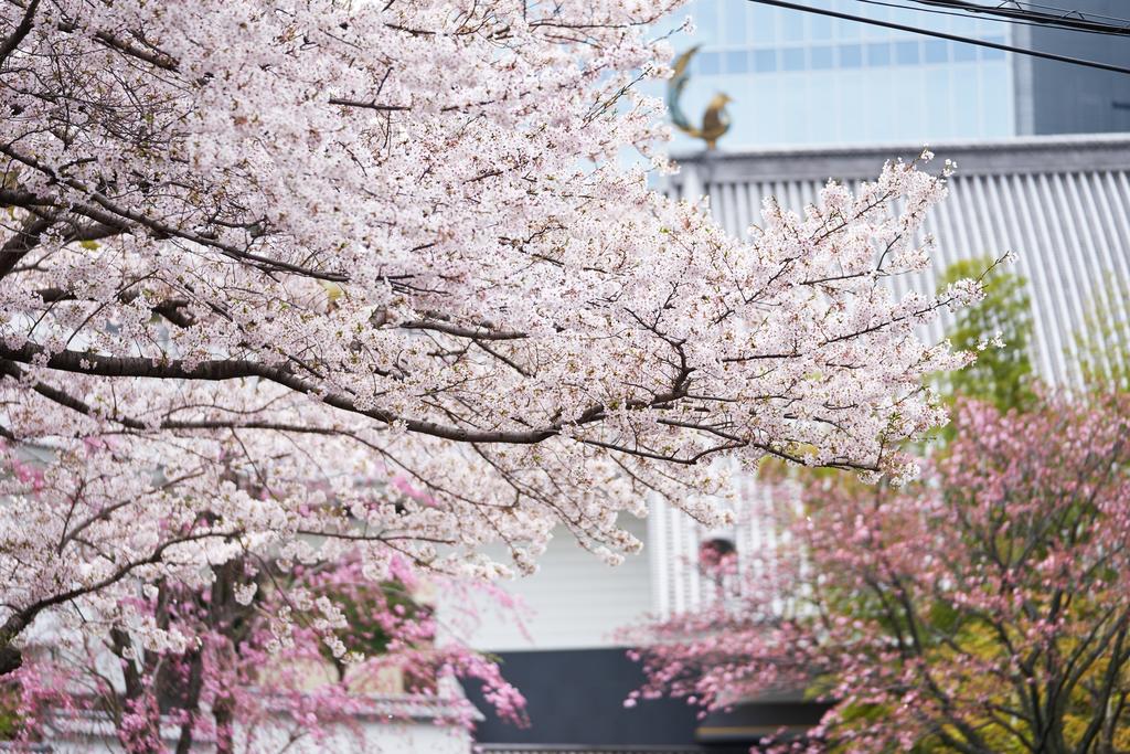 Hotel Gajoen Tokyo